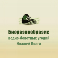 ИС по биоразнообразию водно-болотных угодий Нижней Волги